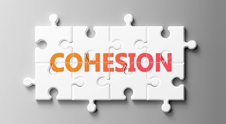 Cohesion 